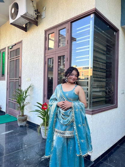 Festival And Function Special Party Wear