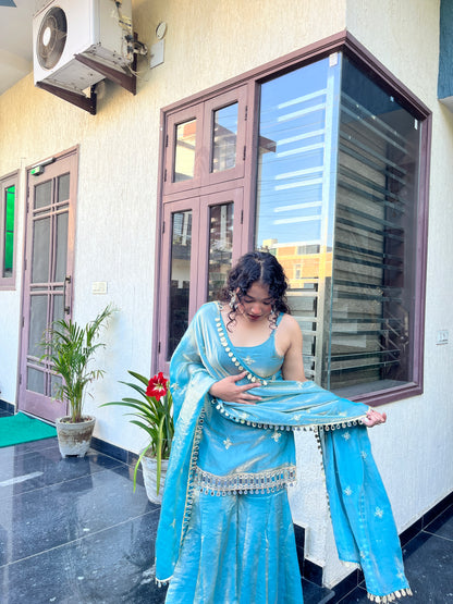 Festival And Function Special Party Wear