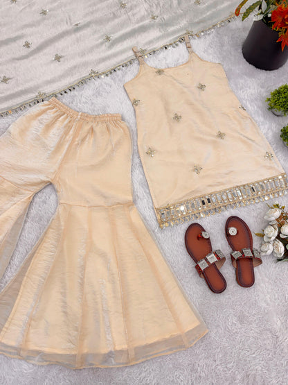 Festival And Function Special Party Wear